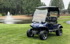 a golf cart parked in the grass near a pond